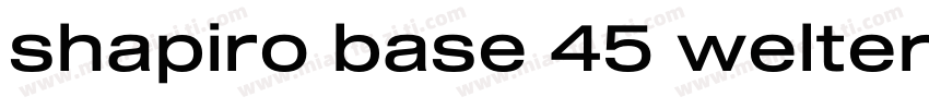 shapiro base 45 welter字体转换
